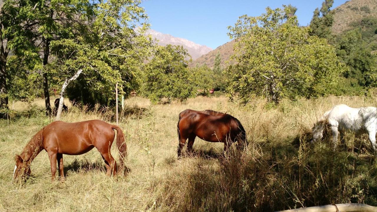 Cascada Lodge Cajon Del Maipo San José de Maipo Kültér fotó
